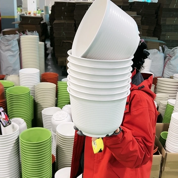 正品矮陶口21高15白色无托8只