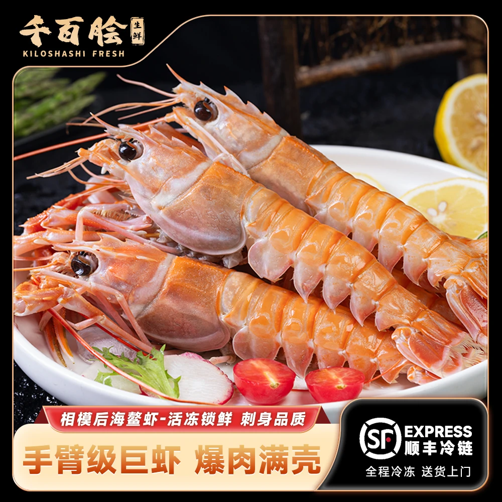 相模后海鳌虾 刺身速冻海螯虾国产鳌虾非新西兰海鳌虾日料海鲜