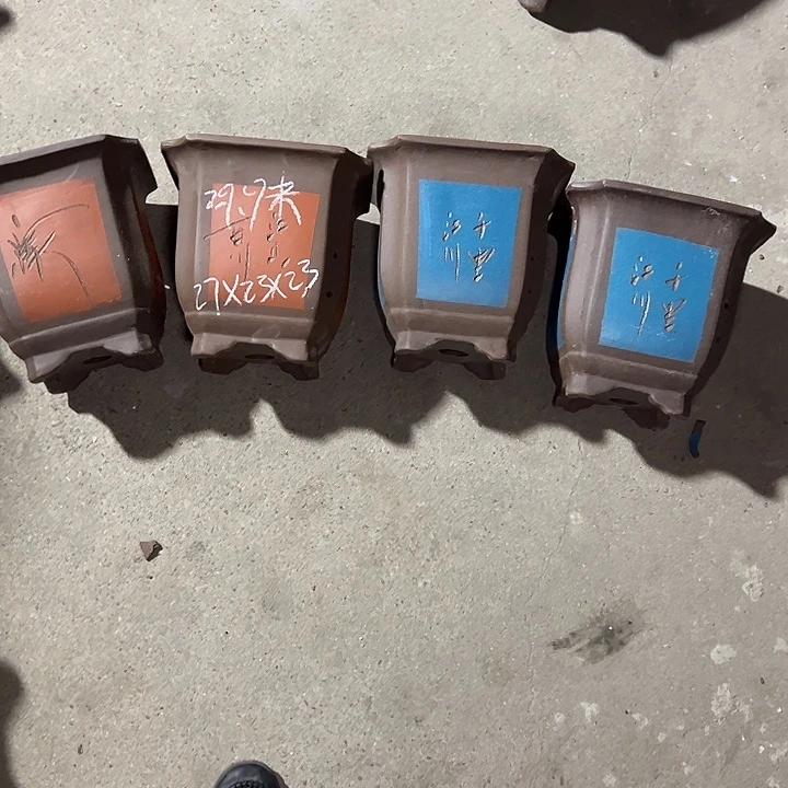 周深周深周深周深周深