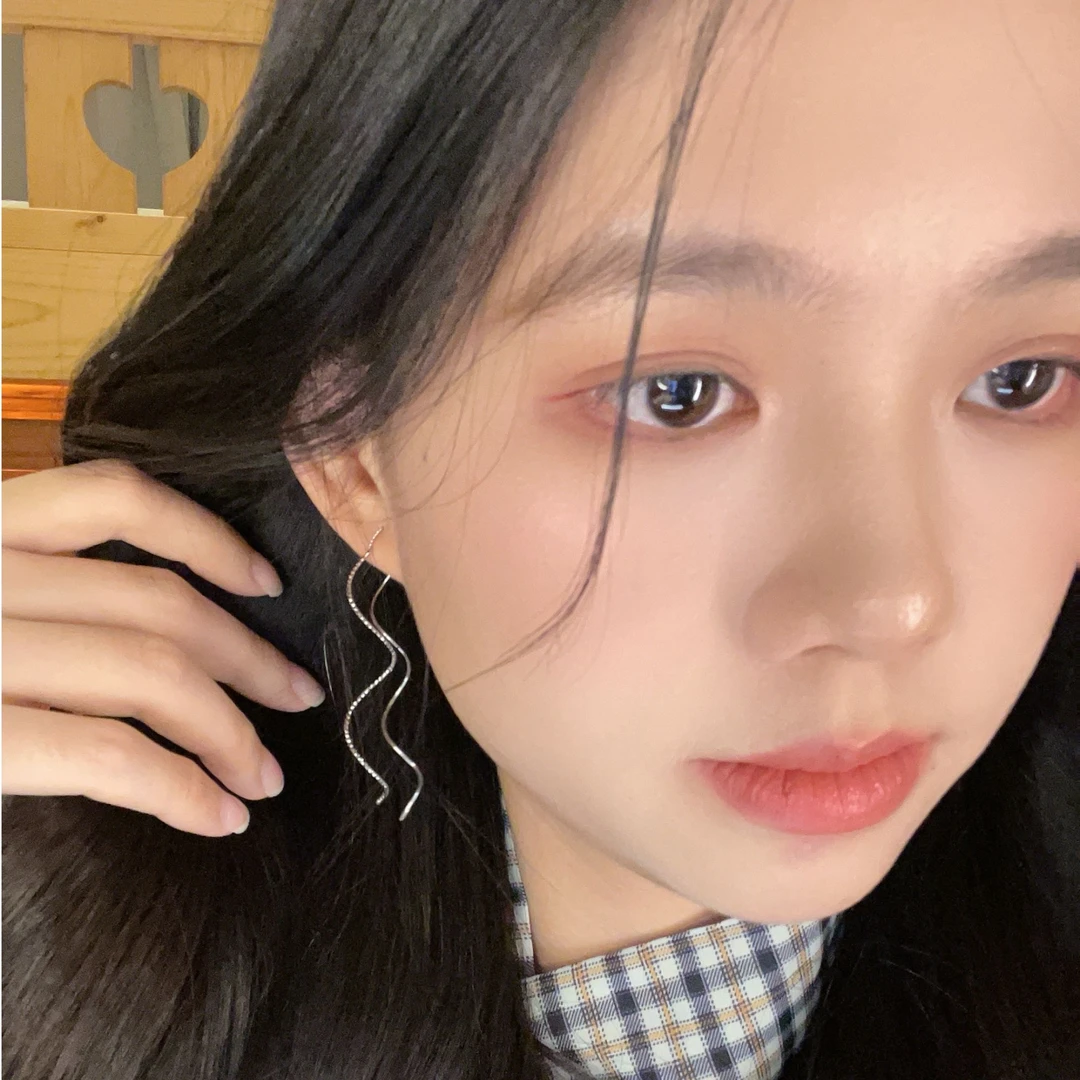 合金耳饰 波浪流苏耳线女轻奢高级感气质百搭圆脸显瘦耳钉耳环