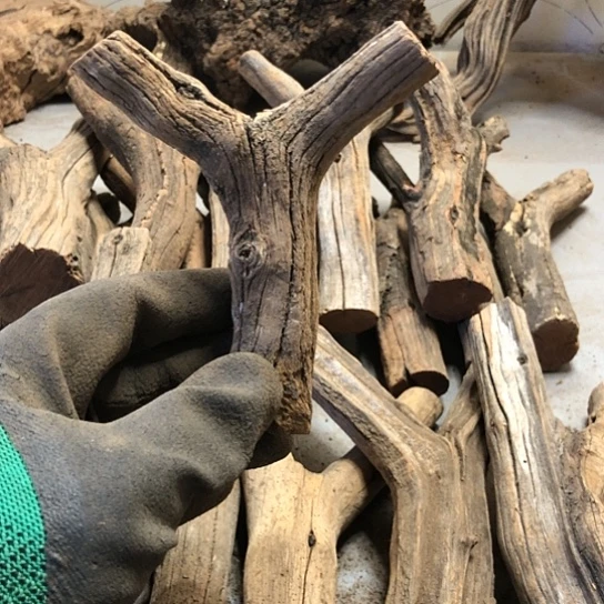 大果紫檀（缅甸花梨）N*