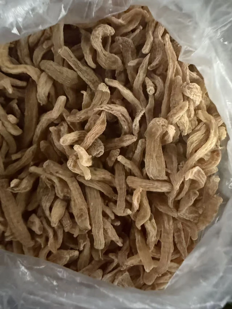 【山地王】雪玉天麻