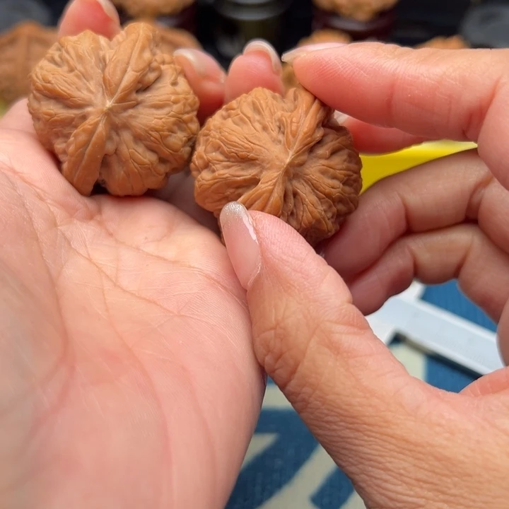 核桃文玩核桃金公子41