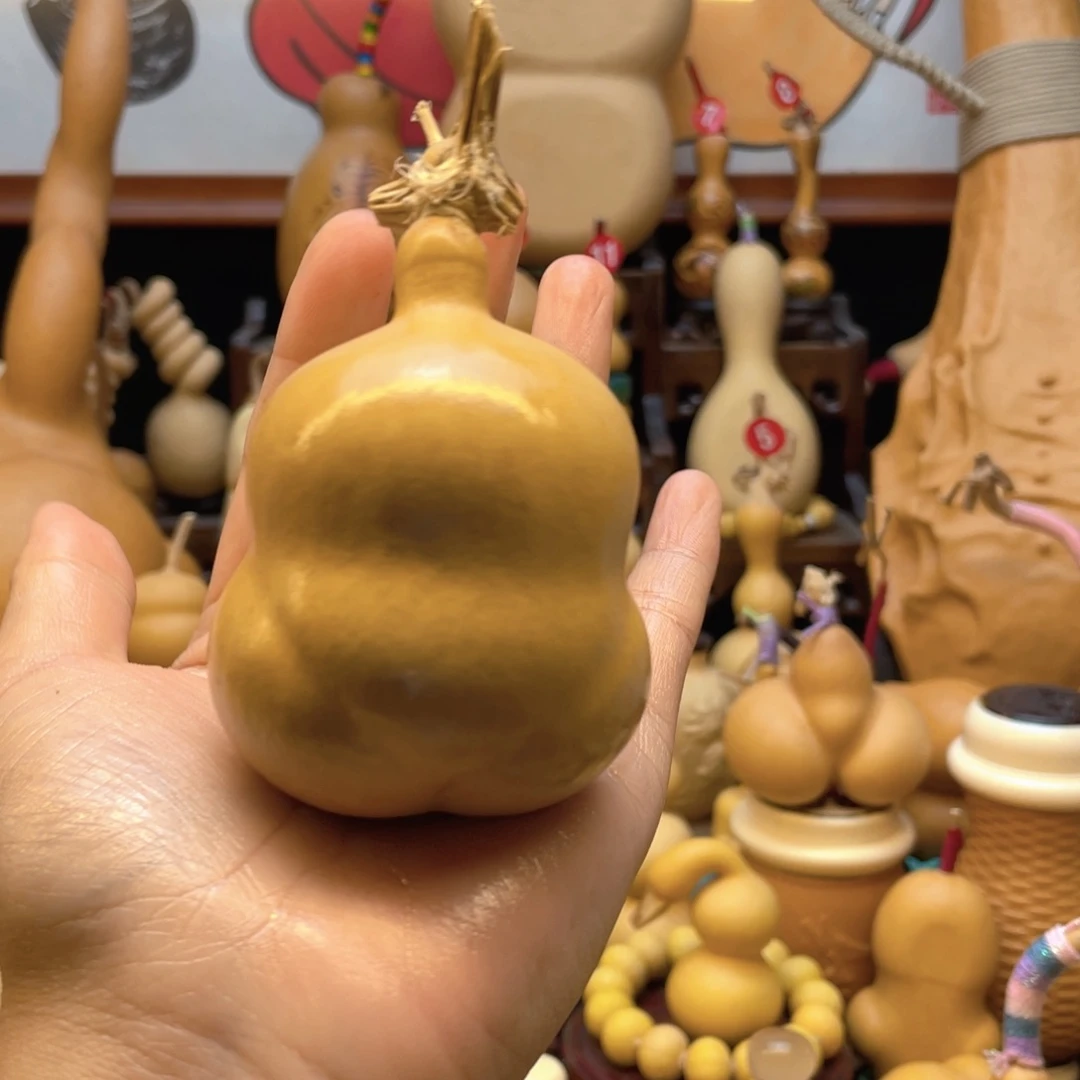 ?***✨大自然的秘密第十一节课