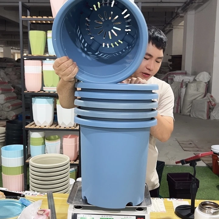 微瑕7号四季口33高33蓝色6个无托