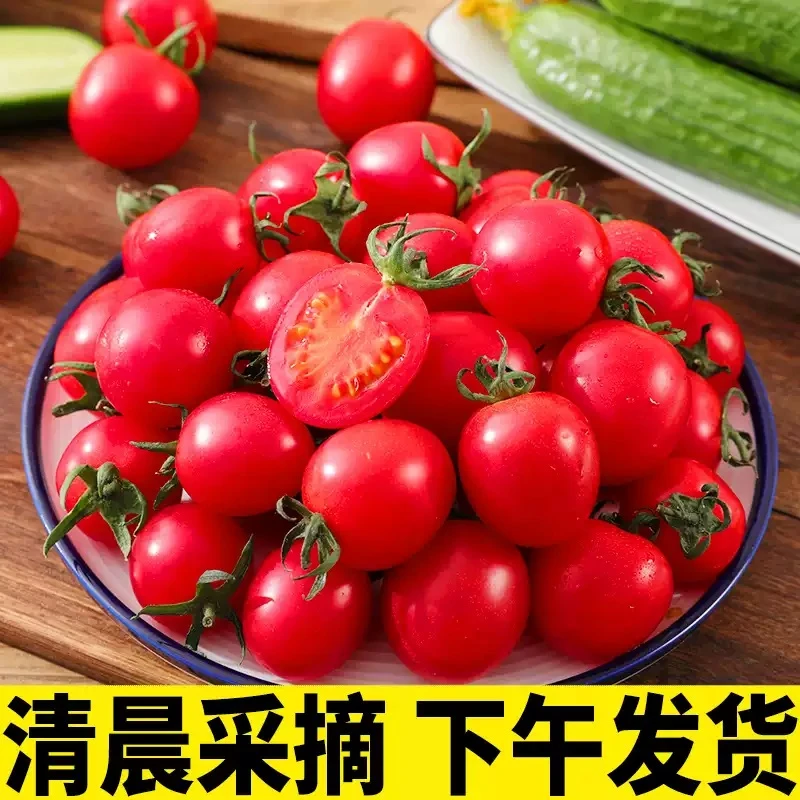 【顺丰冷链】山东千禧圣女果小西红柿番茄3-5斤新鲜蔬菜水果多汁