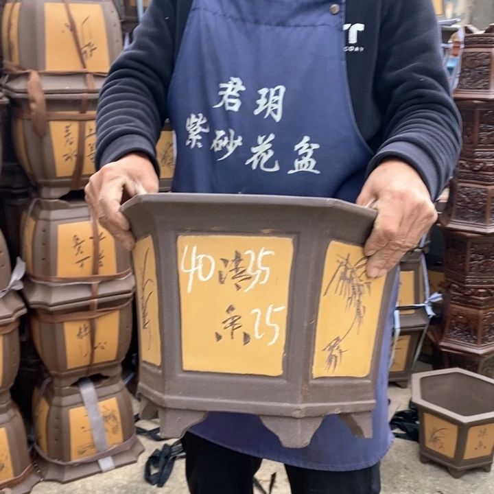 紫砂花盆紫砂花盆盆栽