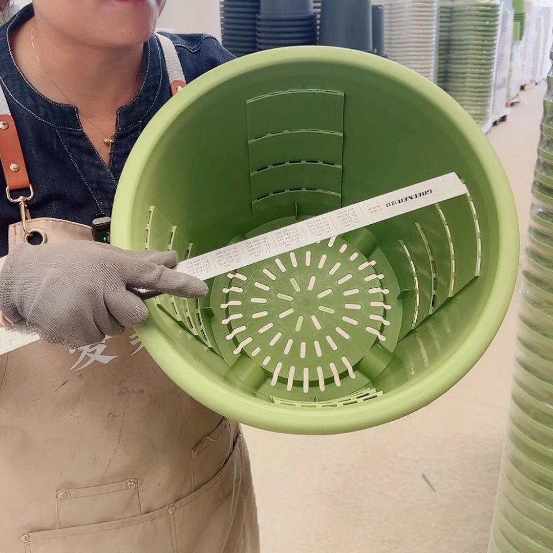 玫瑰370#果绿色4个无托