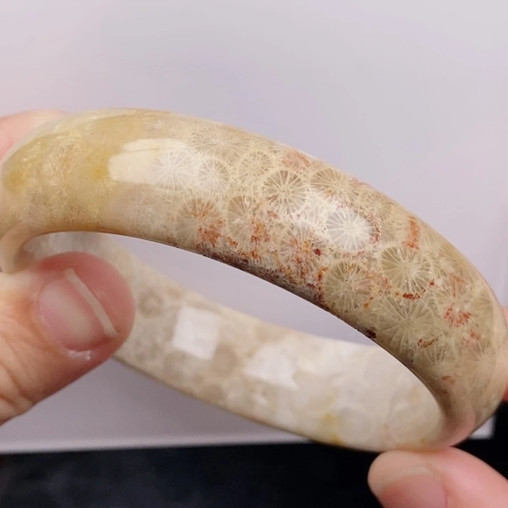 未镶嵌手镯硅化玉