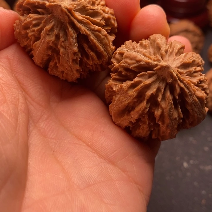 秦岭野生文玩核桃