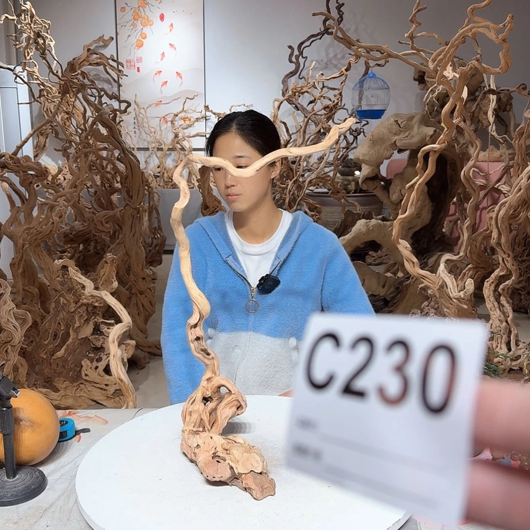 风车木（黑檀木）游*文