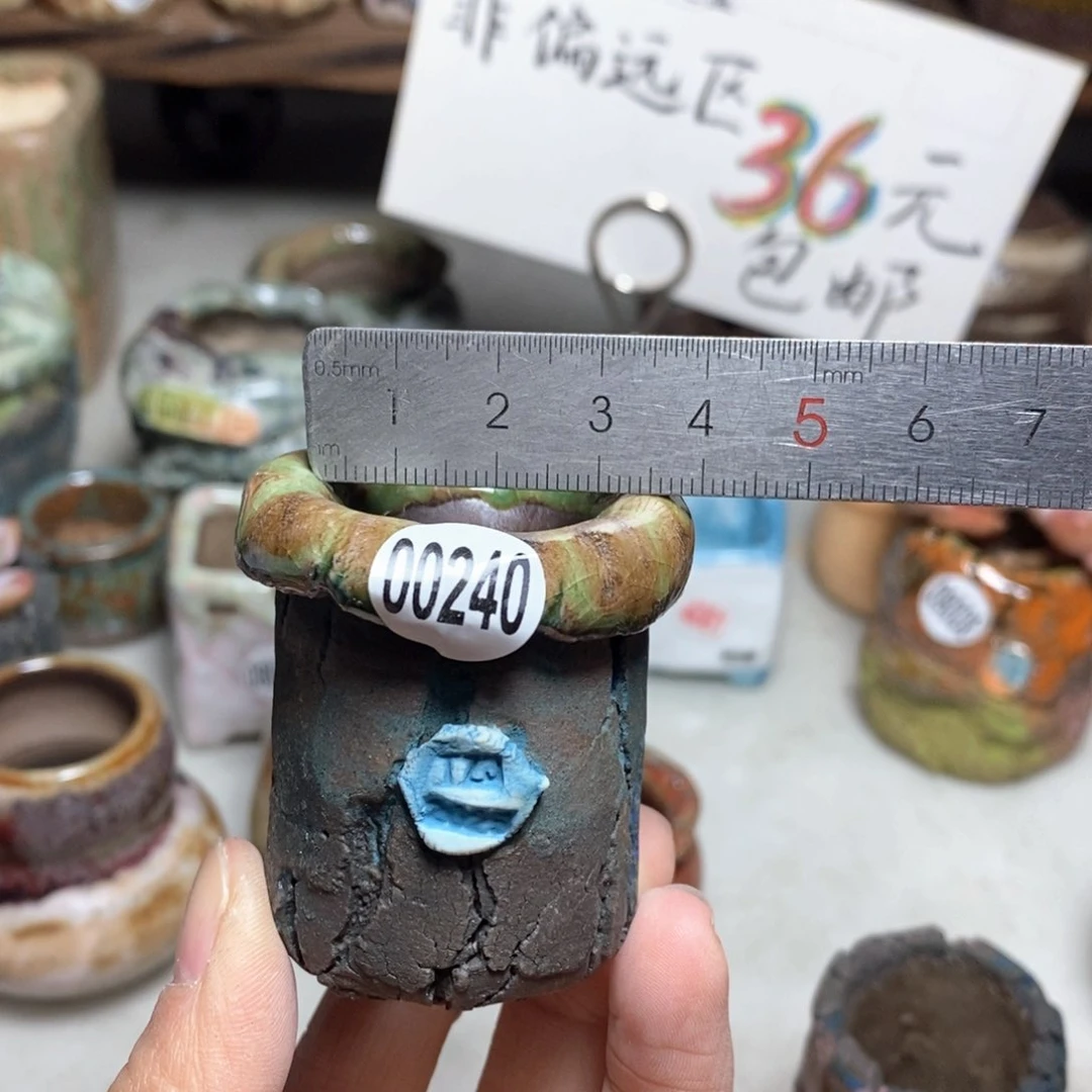 花盆拍3送一个小礼物