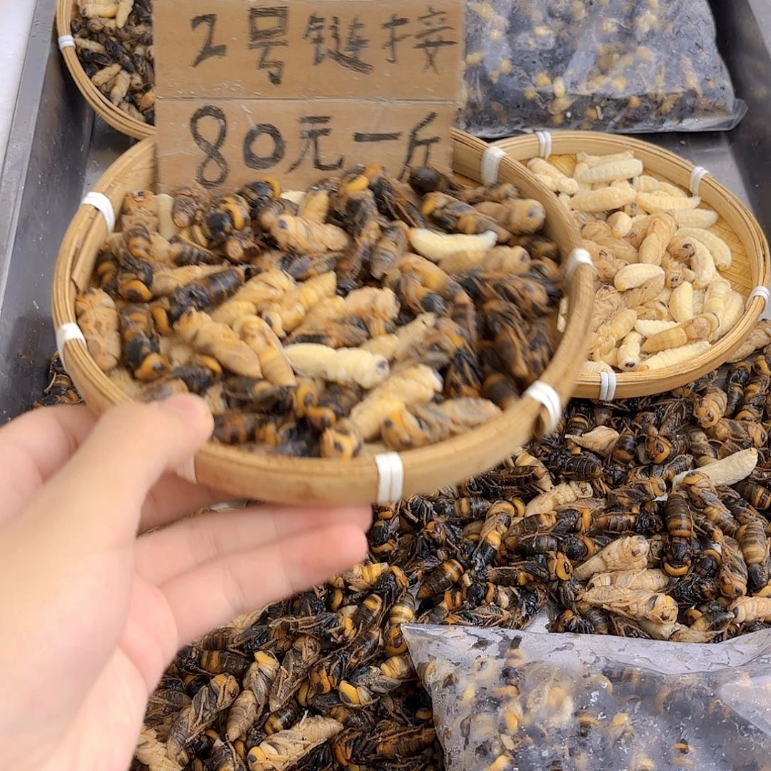 用***830天中国大陆虎头蜂四级2斤