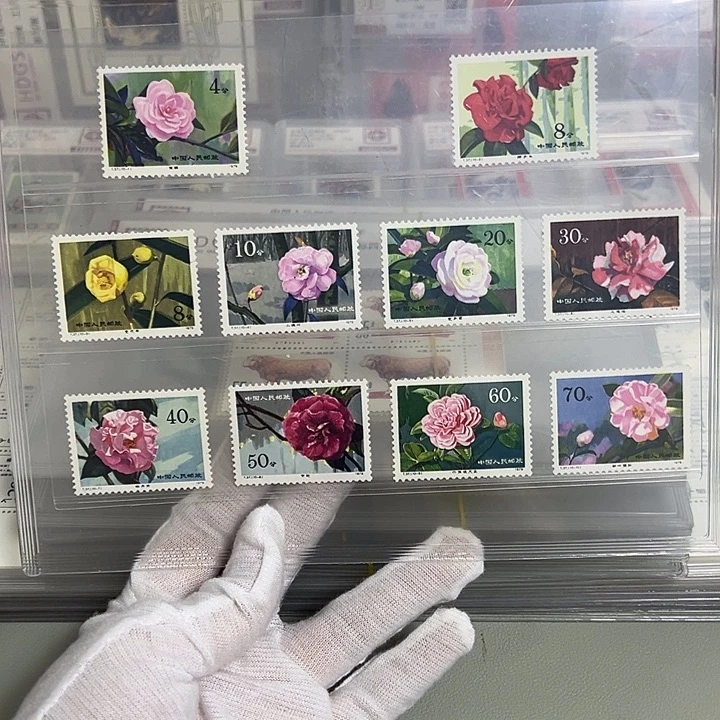 T37套票评级98邮票