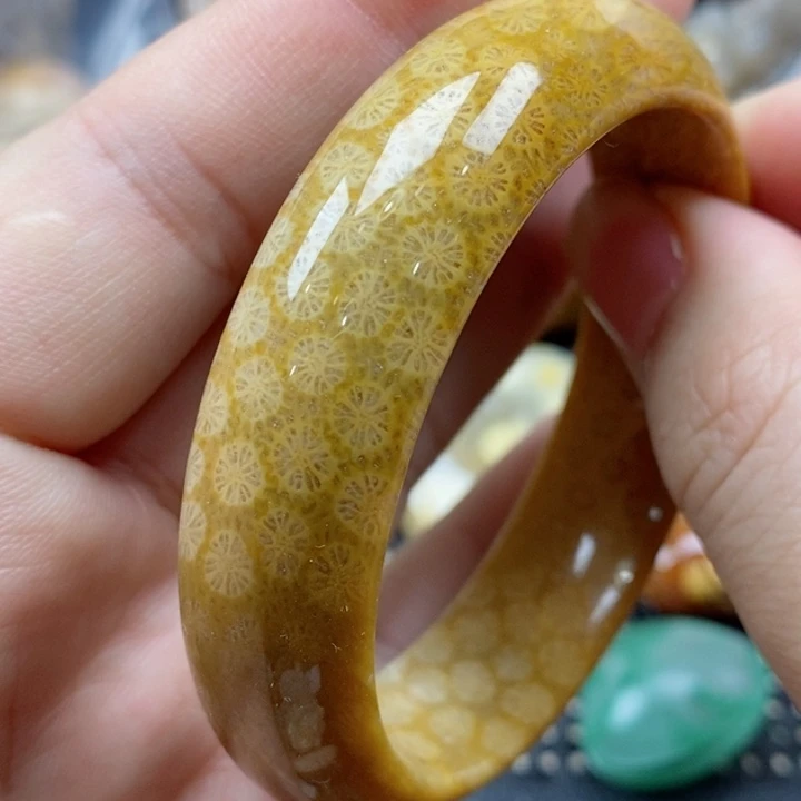 硅化珊瑚（珊瑚玉）颈饰未镶嵌