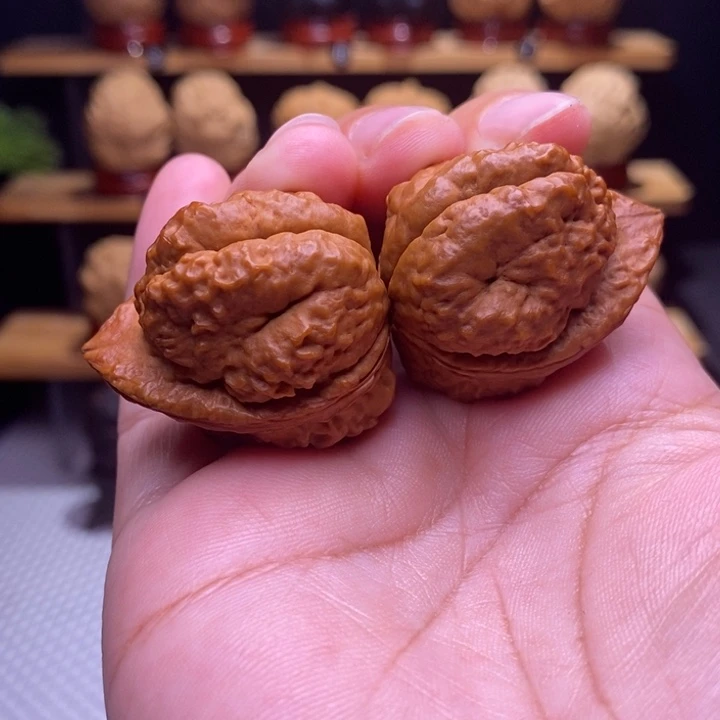 木质类云铁羊头蟾21号35尺