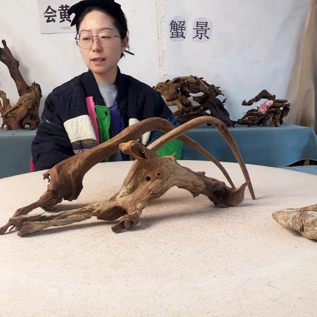 沉木造景爬宠造景