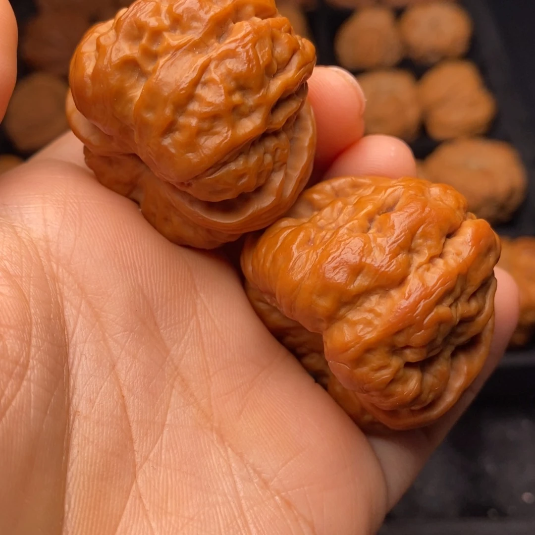 文玩核桃把件秦岭野生核桃