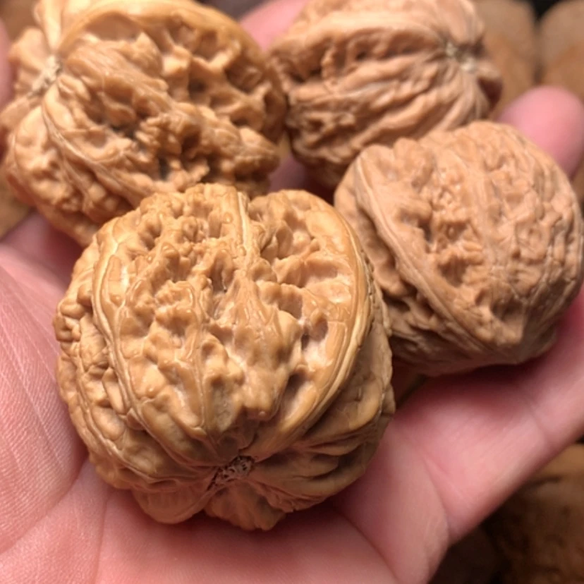 【闪购商品】把件文玩核桃德****1大粗筋