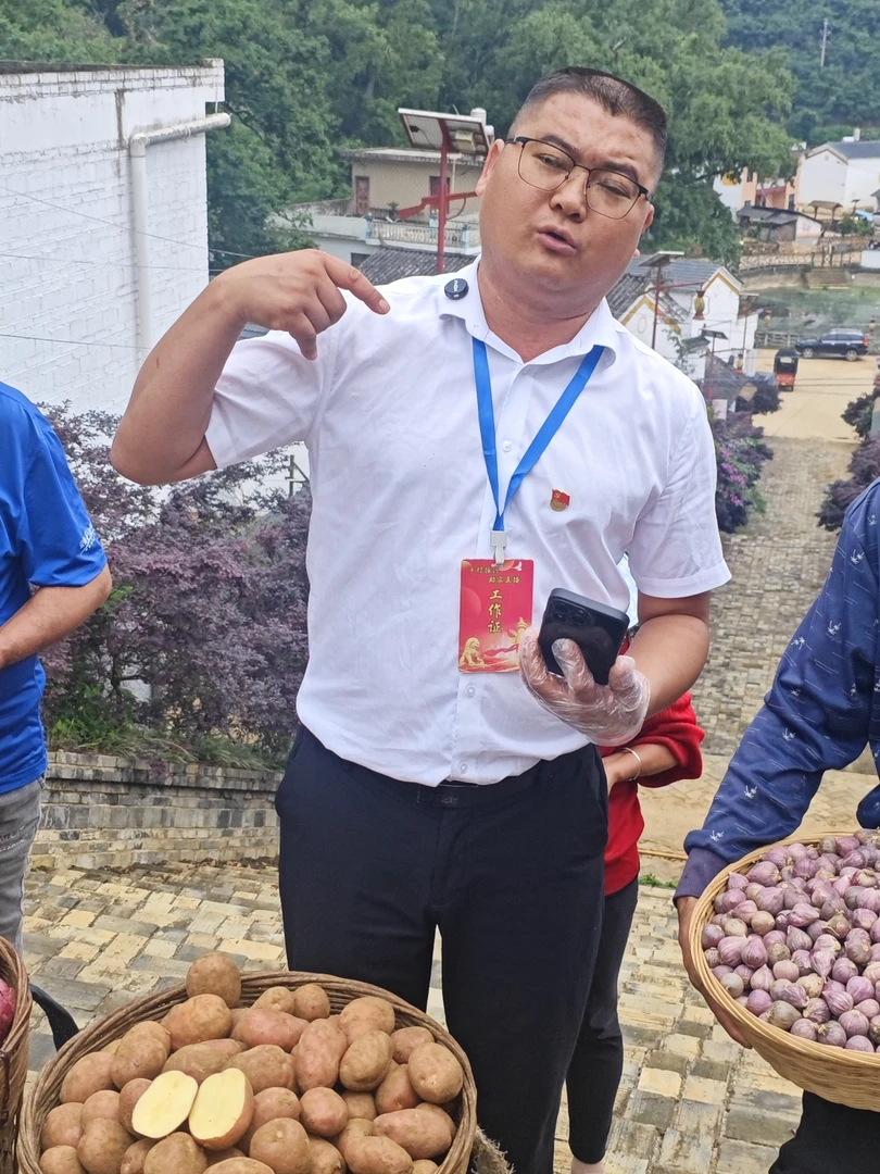 一村一品现挖现发精选-红皮土豆