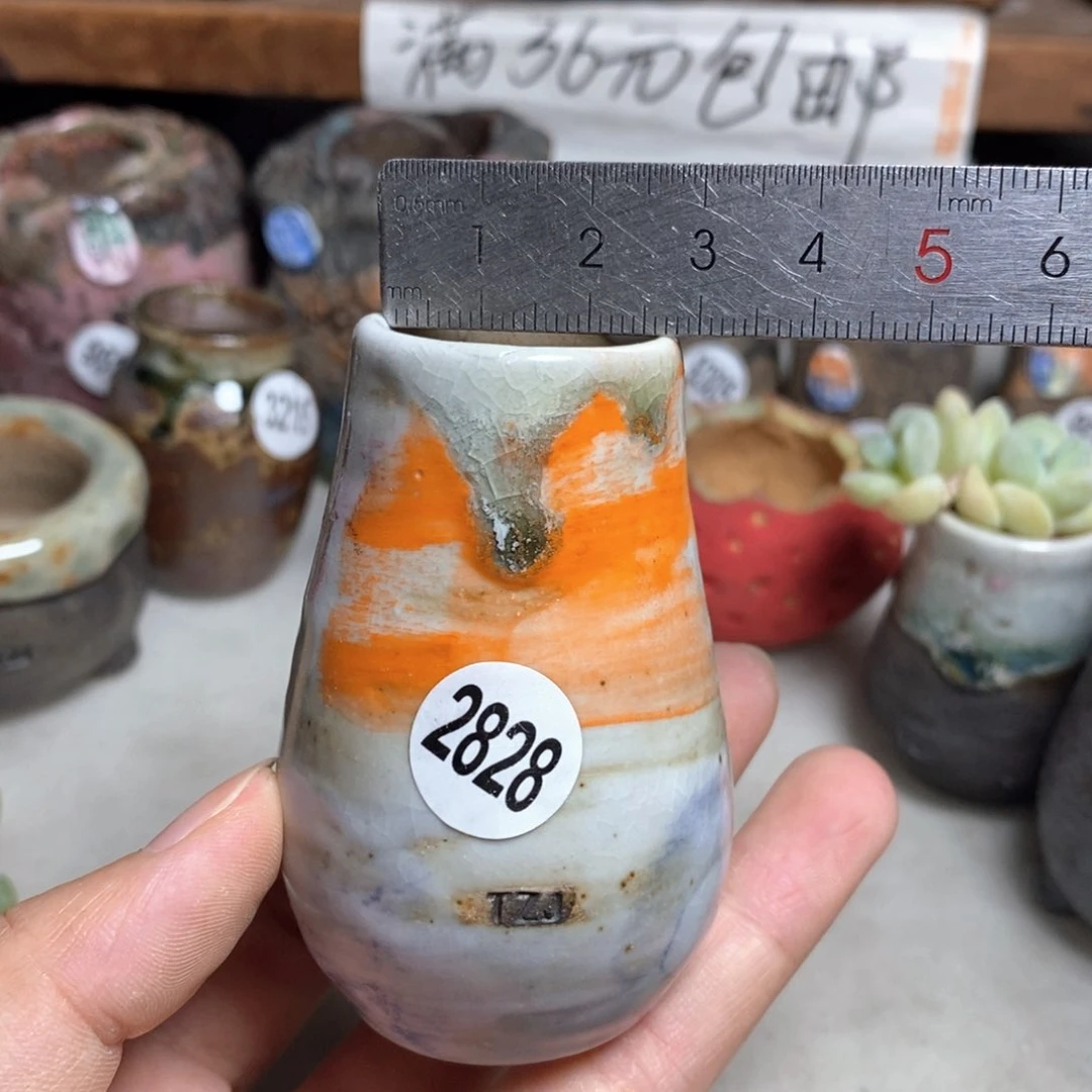 拍5送一个小礼物