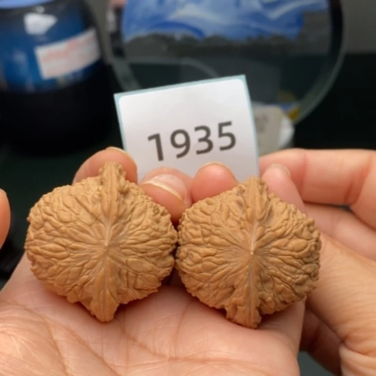 文玩核桃把件37.5泥鳅背1935