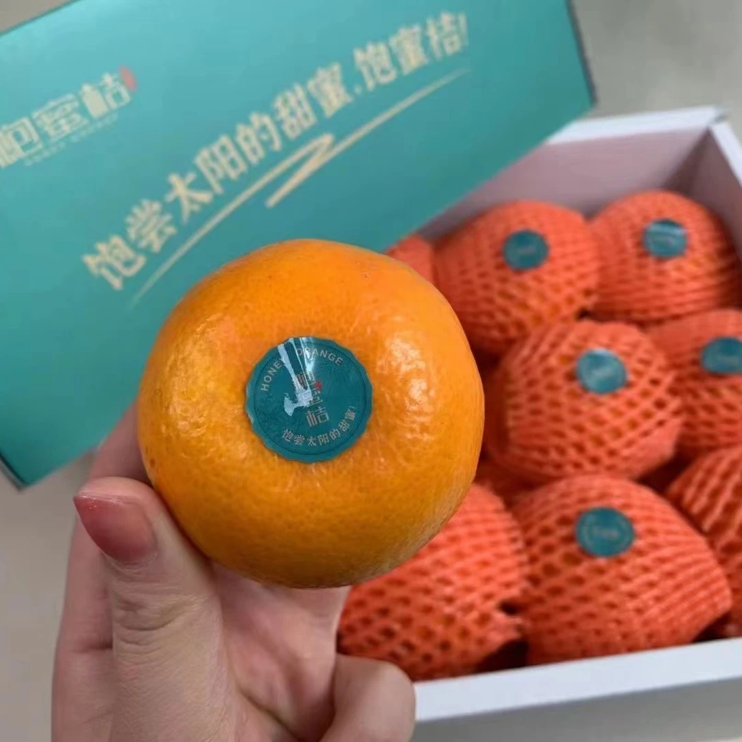 【老沙严选】当季新鲜“饱蜜桔”礼盒装5.2斤左右