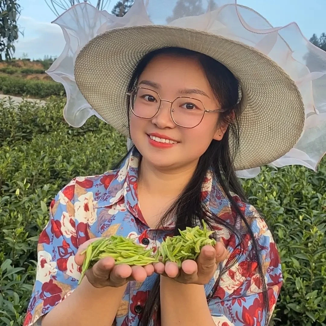 贵州正安白茶（中观镇）