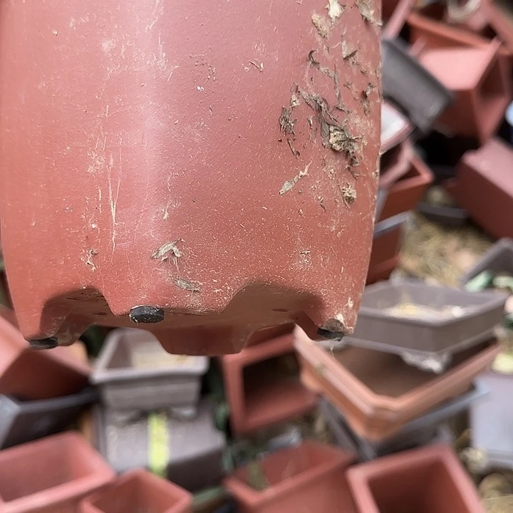 这里没有你家菜我