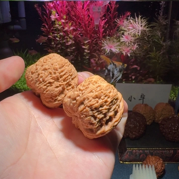 核桃把件1333号38麻墩南疆石南疆石文玩核桃