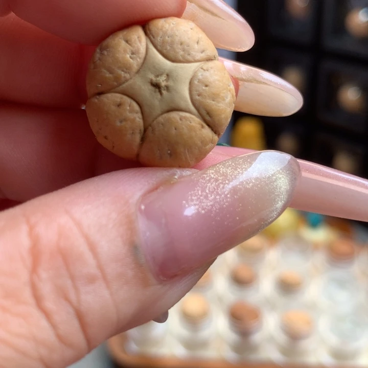 凤眼菩提吊坠强五星