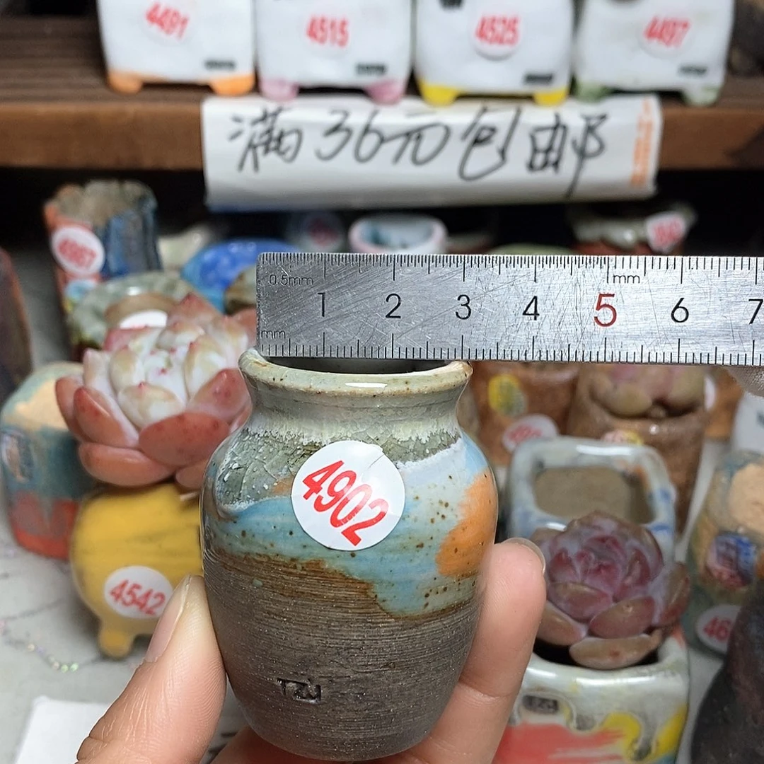 红陶拍5送一个小