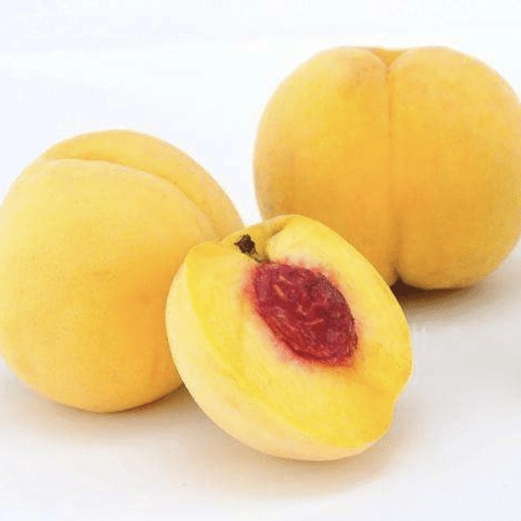 【川渝次日达】成都龙泉驿锦绣黄桃当季新鲜水果脆甜多汁