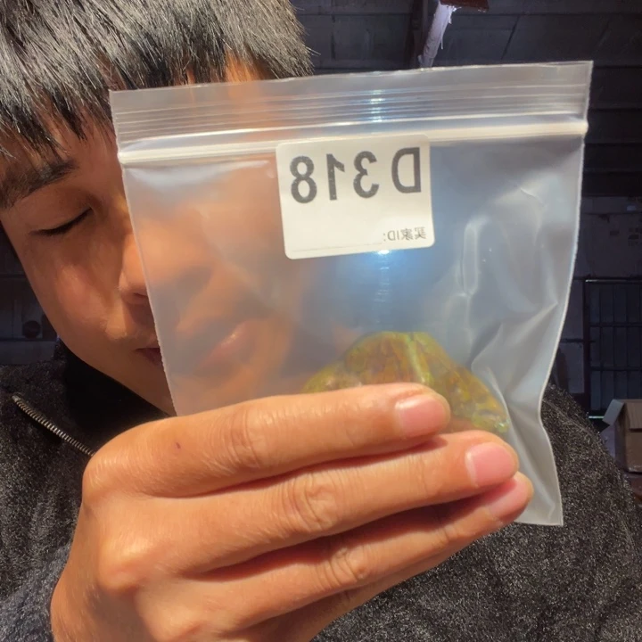 大叶紫檀（黑酸枝木类）草*香318