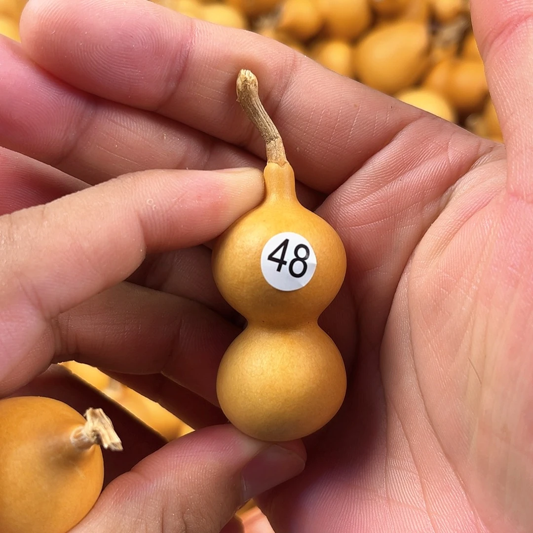 四葫芦葫芦葫芦葫芦48