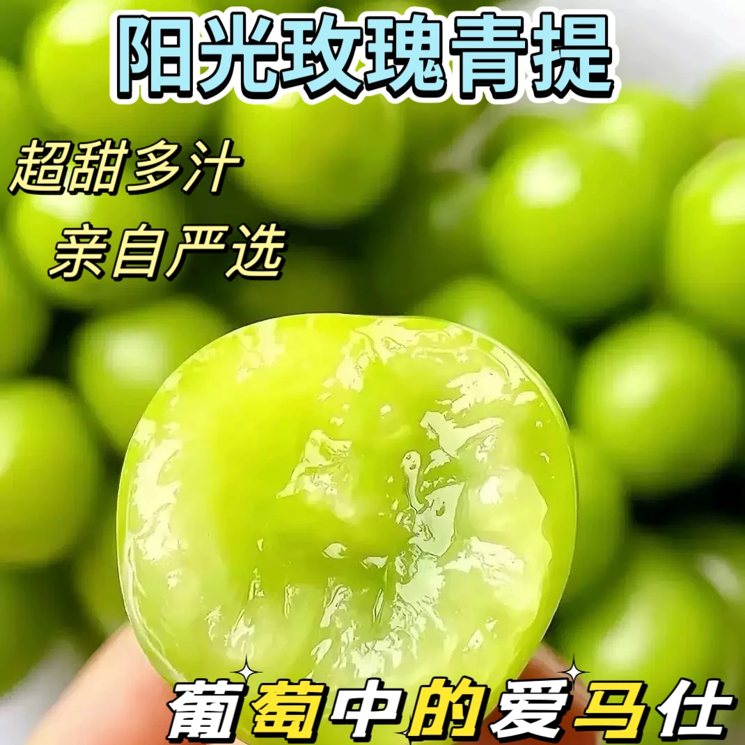 【顺丰冷链】云南阳光玫瑰葡萄爆甜现摘现发新鲜水果水果坏果包赔