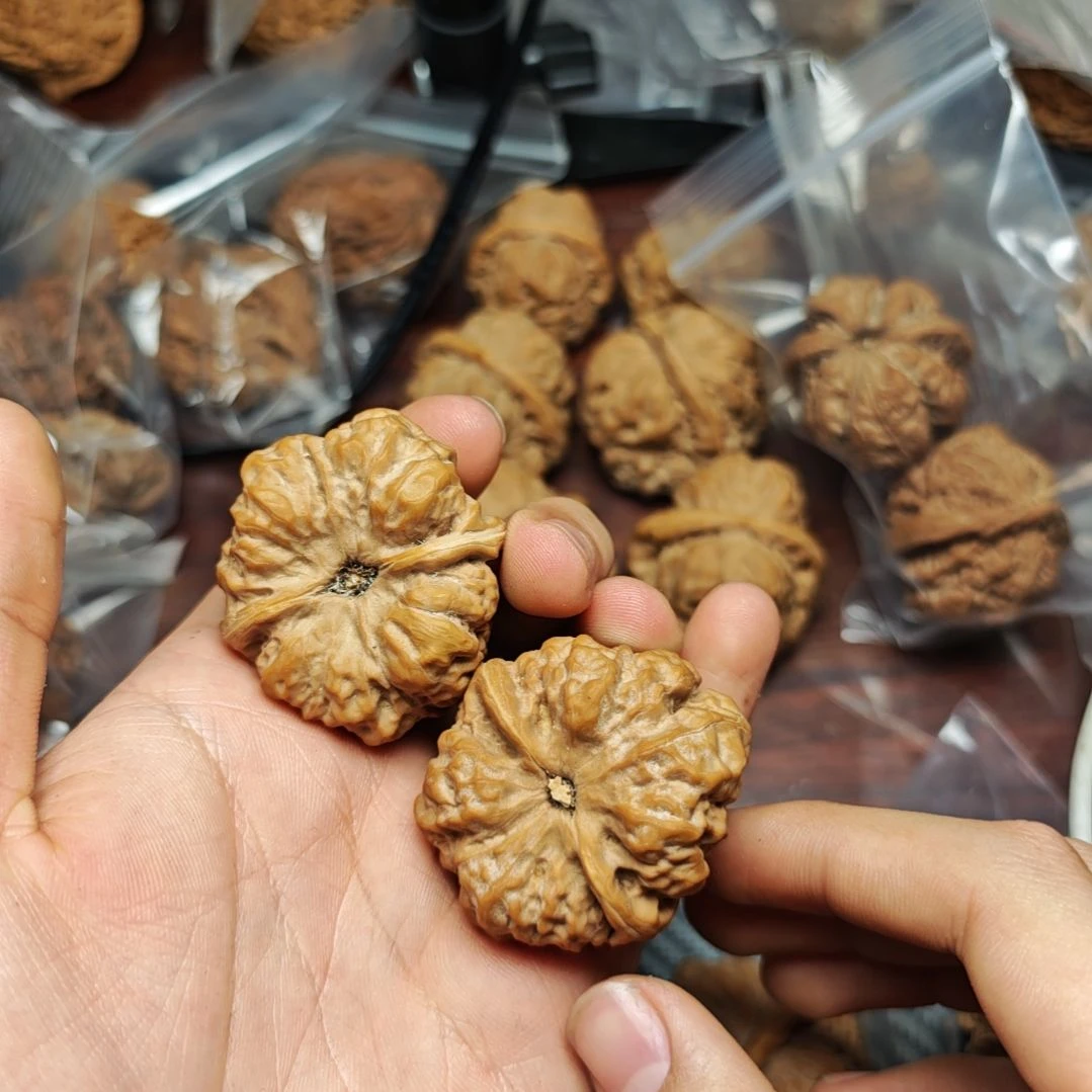 B****y蛤蟆蛤蟆蛤蟆蛤蟆