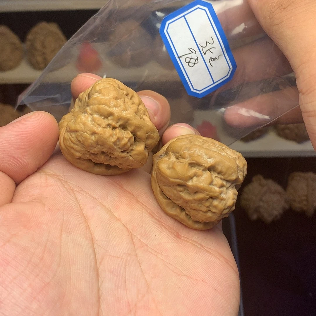 手串/手链核桃A边35肚37精品