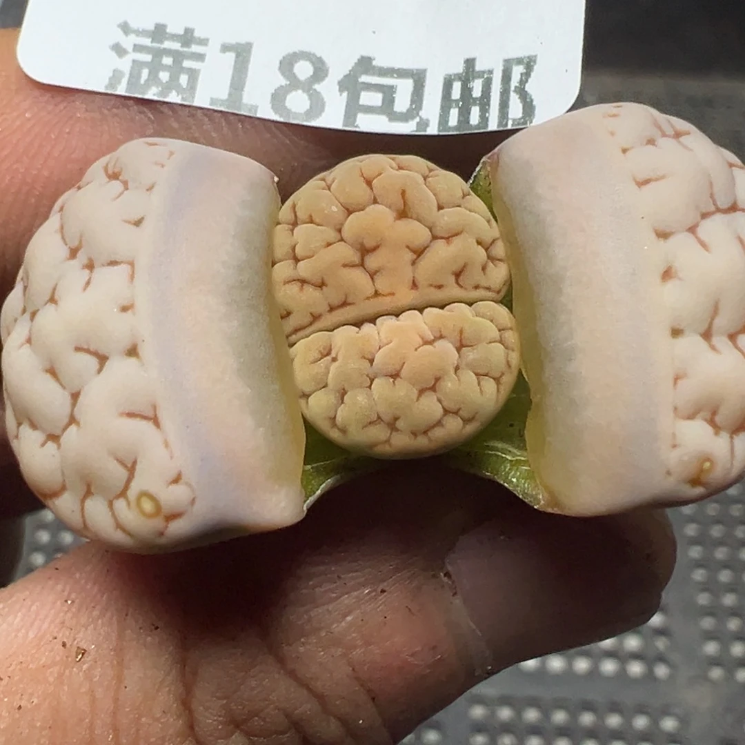 【闪购商品】 333。