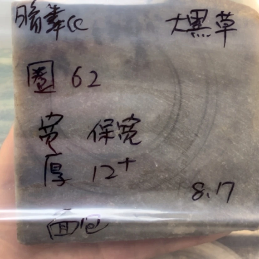 【闪购商品】石英质玉手镯未镶嵌暗*.大黑草