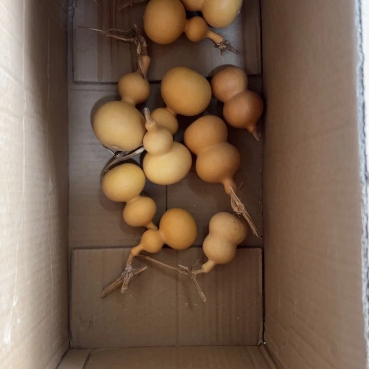 木浅*10个八宝4块一个