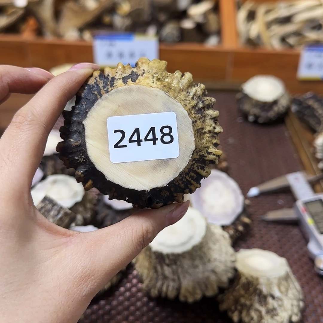 鹿骨手串/手链角帽2448