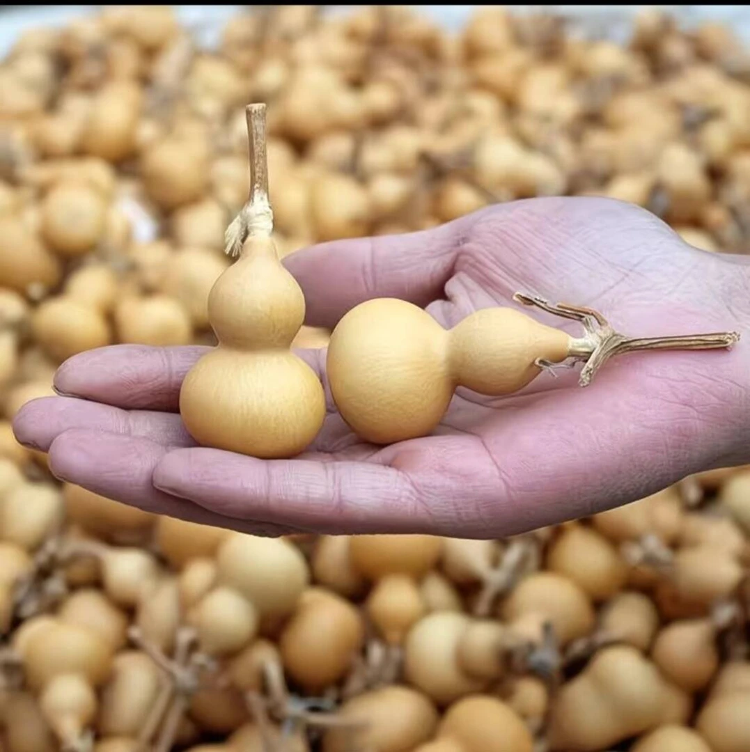 天然葫芦（直播间专用链接）800-5000