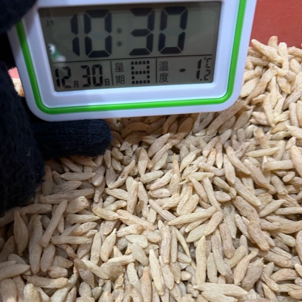 长白山农家滋补麦冬