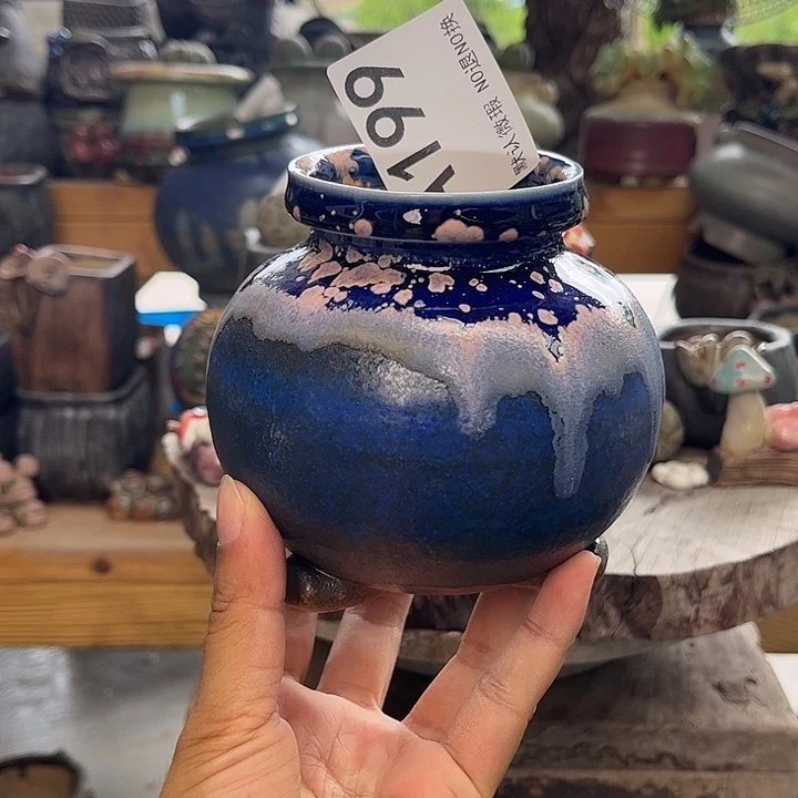 重庆小燕子欢迎大家199