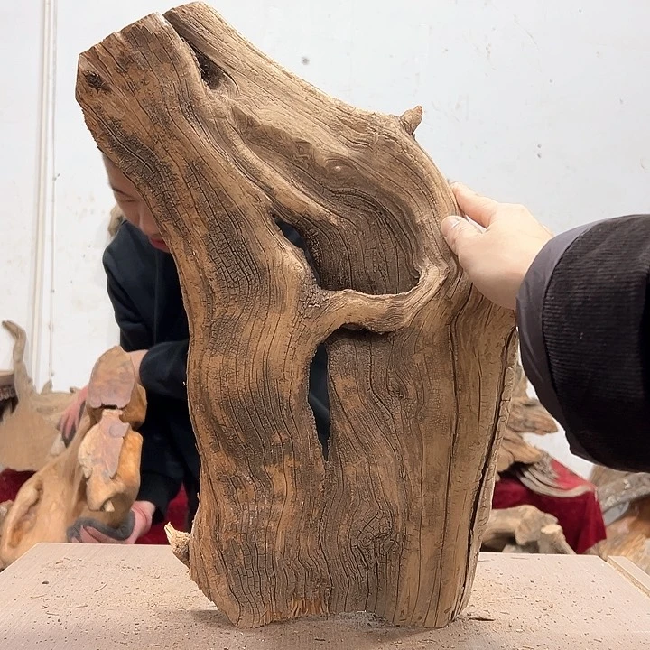 柏木给****卡我们的生活也是如此的丰富多彩的