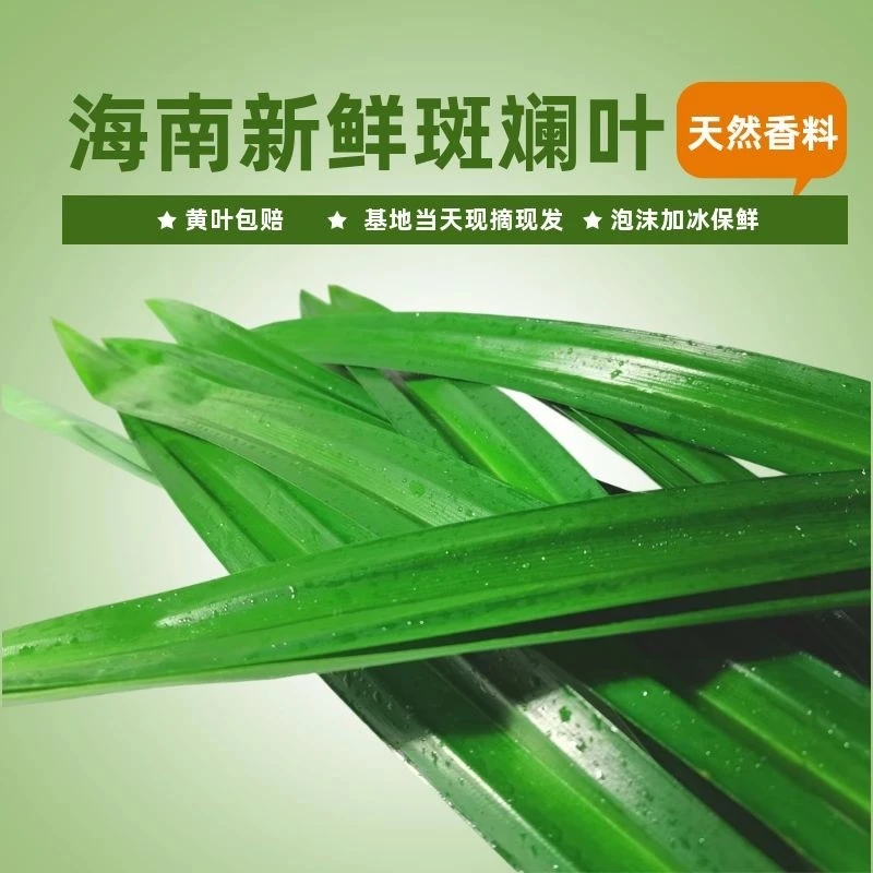 新鲜斑斓叶基地直发用于烘焙千层蛋糕芒果糯米饭调味食材