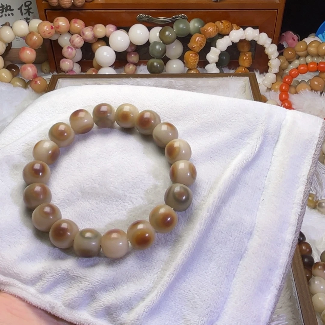 蓝***液吊坠菩提根/象牙果205