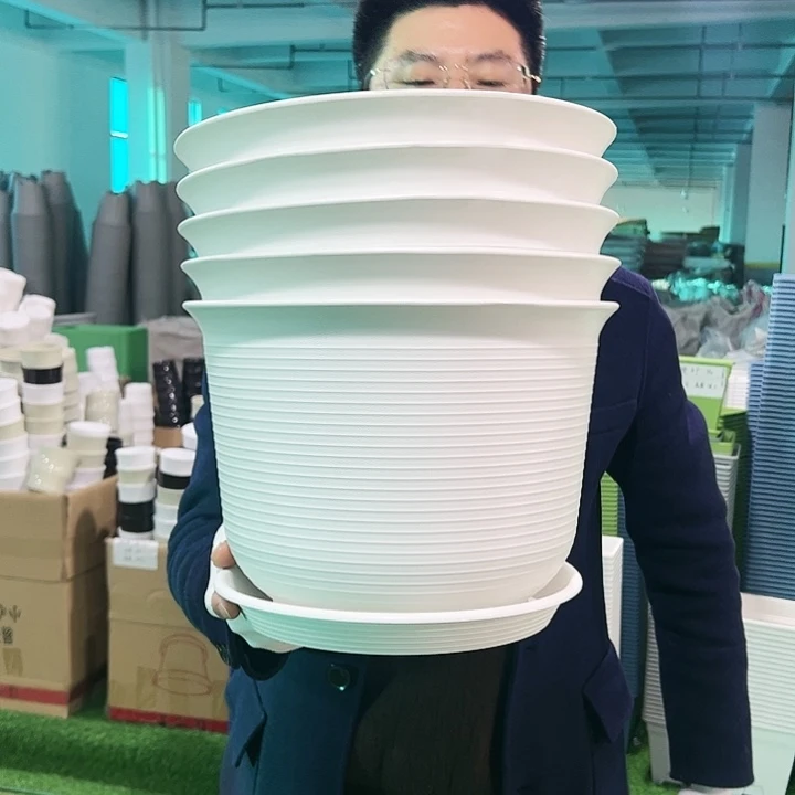 正品矮陶口30高21白色5只带托