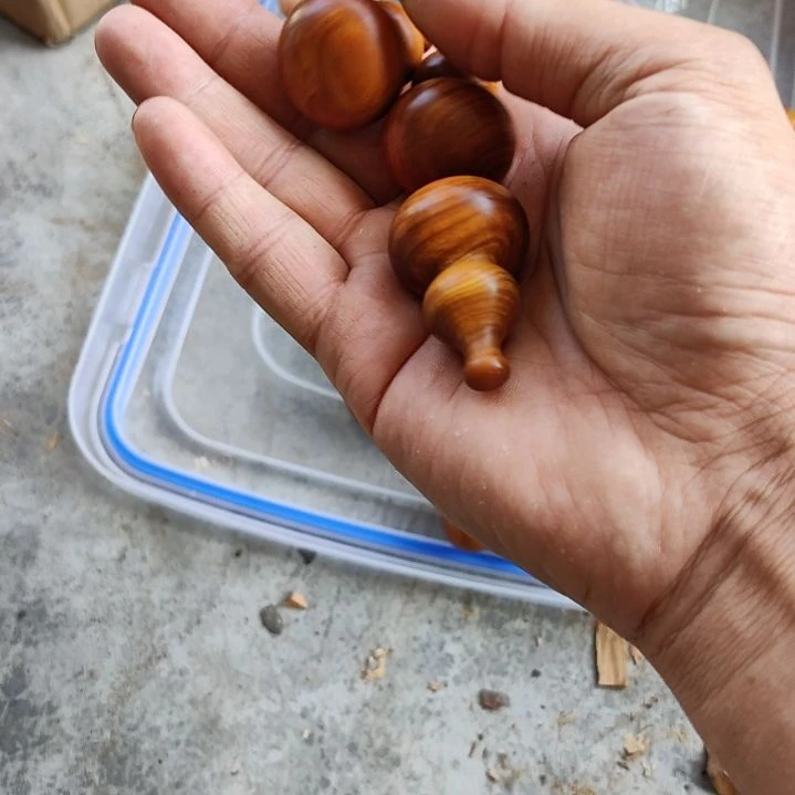 小葫芦一个，太行崖柏